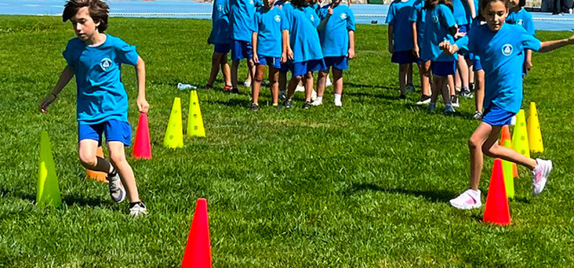 Yaz Okulu Survivor Parkuru